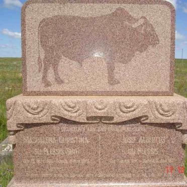 PLESSIS Josef Albertus, du 1855-1938 &amp; Magdalena Christina SMIT 1868-1943