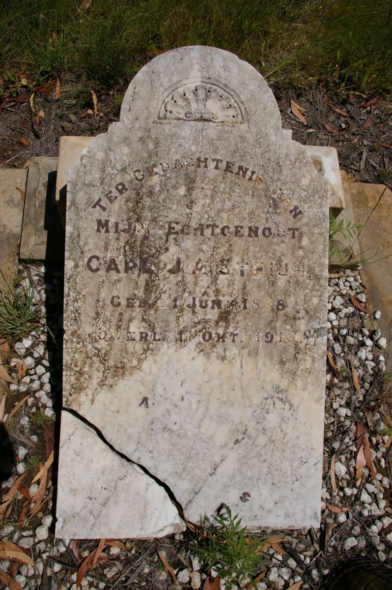 STEIJN Carl J.A. 1878-1918