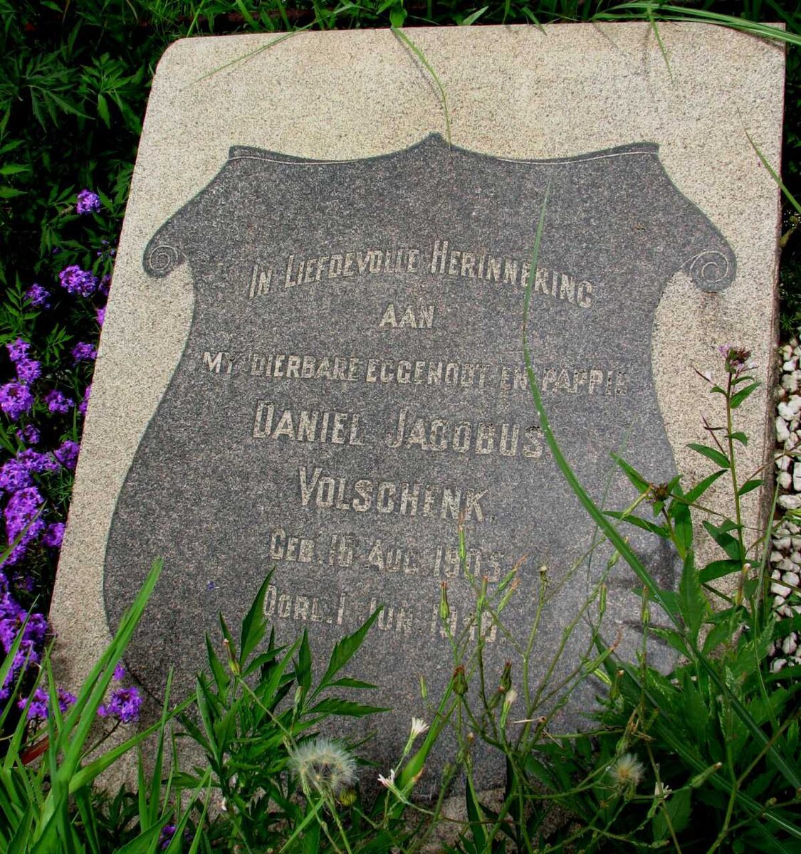 VOLSCHENK Daniel Jacobus 1905-1946