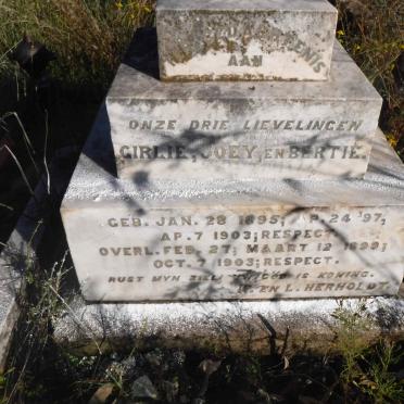 HERHOLDT Girlie 1895-1899 :: HERHOLDT Joey 1897-1899 :: HERHOLDT Bertie 1903-1903