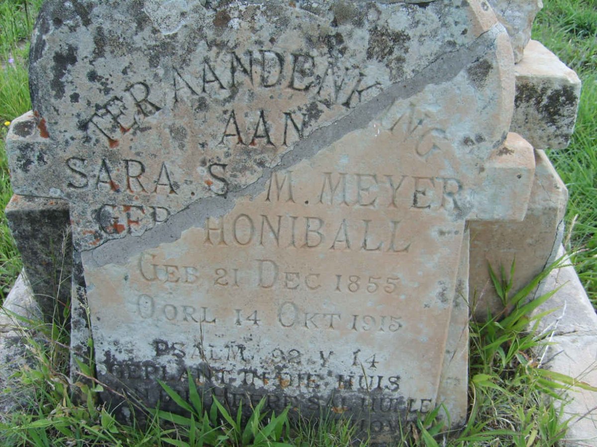 MEYER Sara S.M. nee HONIBALL 1855-1915