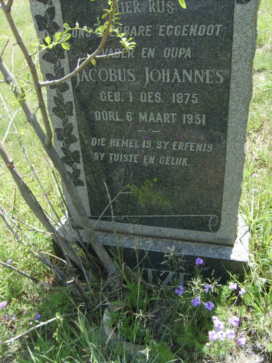 WENTZEL Jacobus Johannes 1875-1951