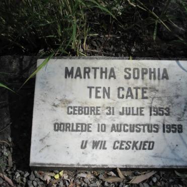 CATE Martha Sophia, ten 1953-1959