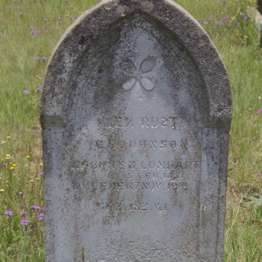 JOHNSON E.?. nee LOMBART 185?-1919