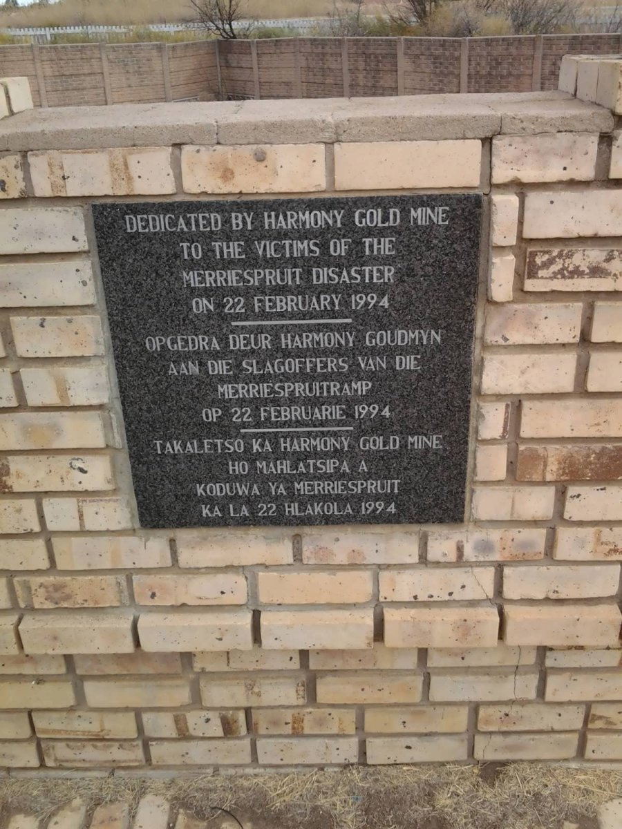 02. Harmony goldmine disaster 1994