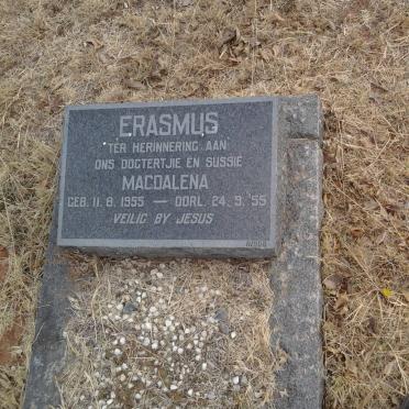 ERASMUS Magdalena 1955-1955