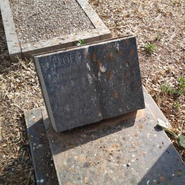 ELOFF Francois Philippus 1943-1963