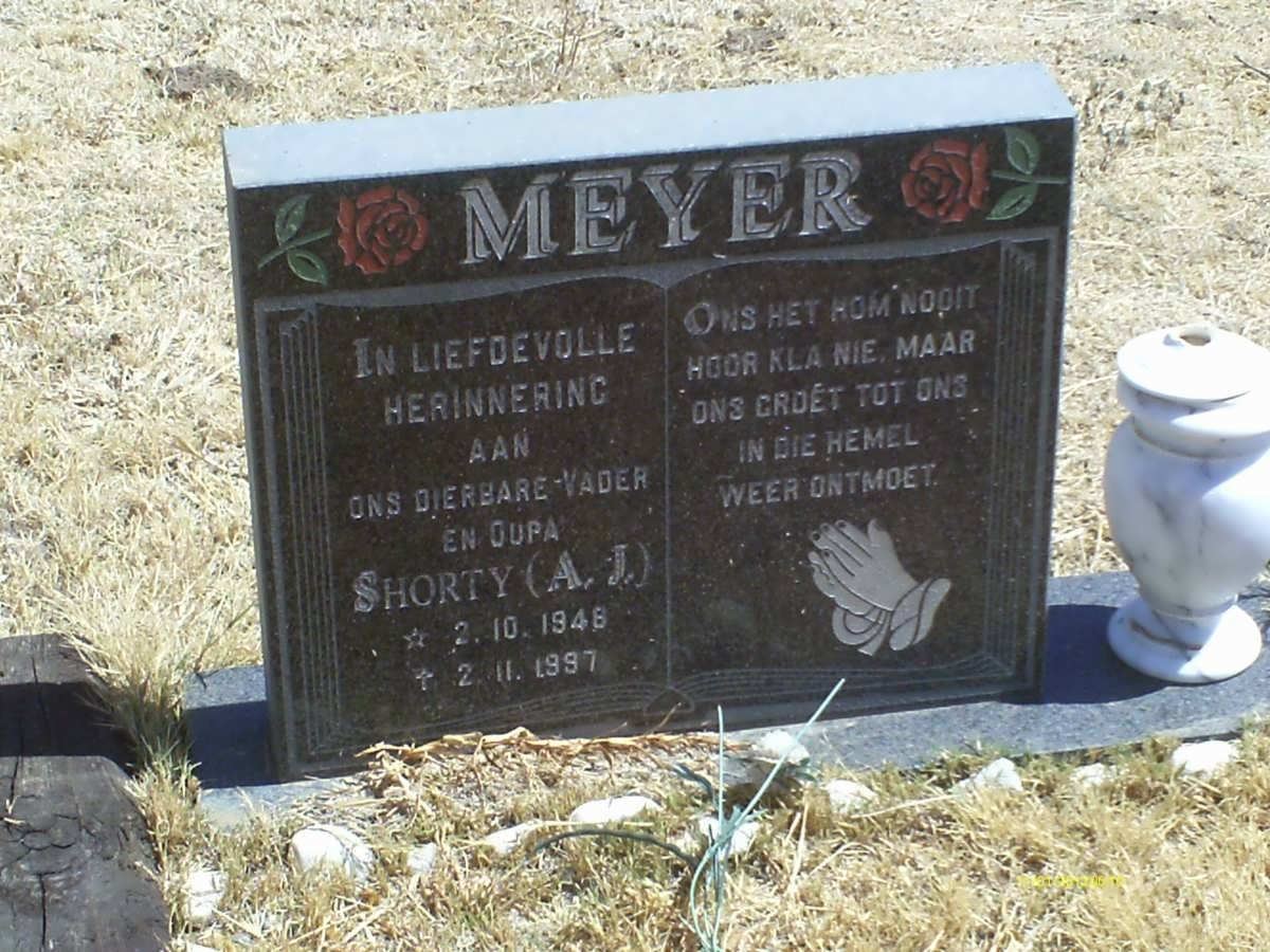 MEYER A.J. 1946-1997