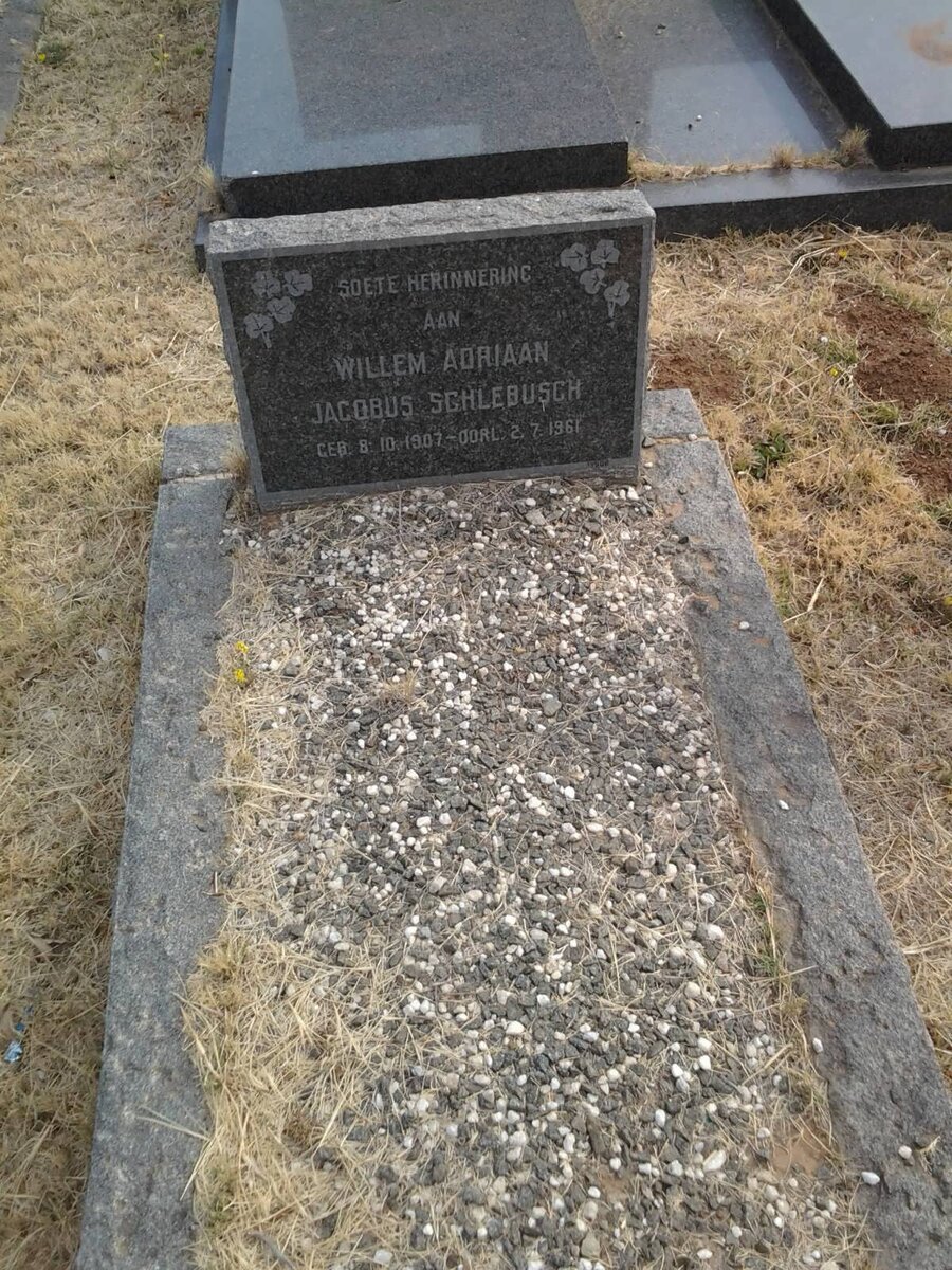 SCHLEBUSCH Willem Adriaan Jacobus 1907-1961