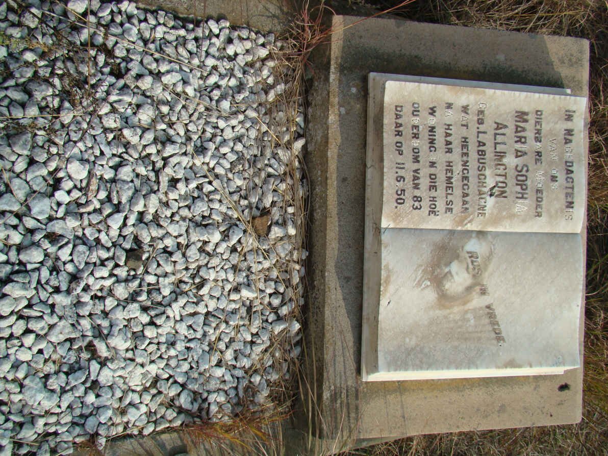 ALLINGTON Maria Sophia nee LABUSCHAGNE -1950