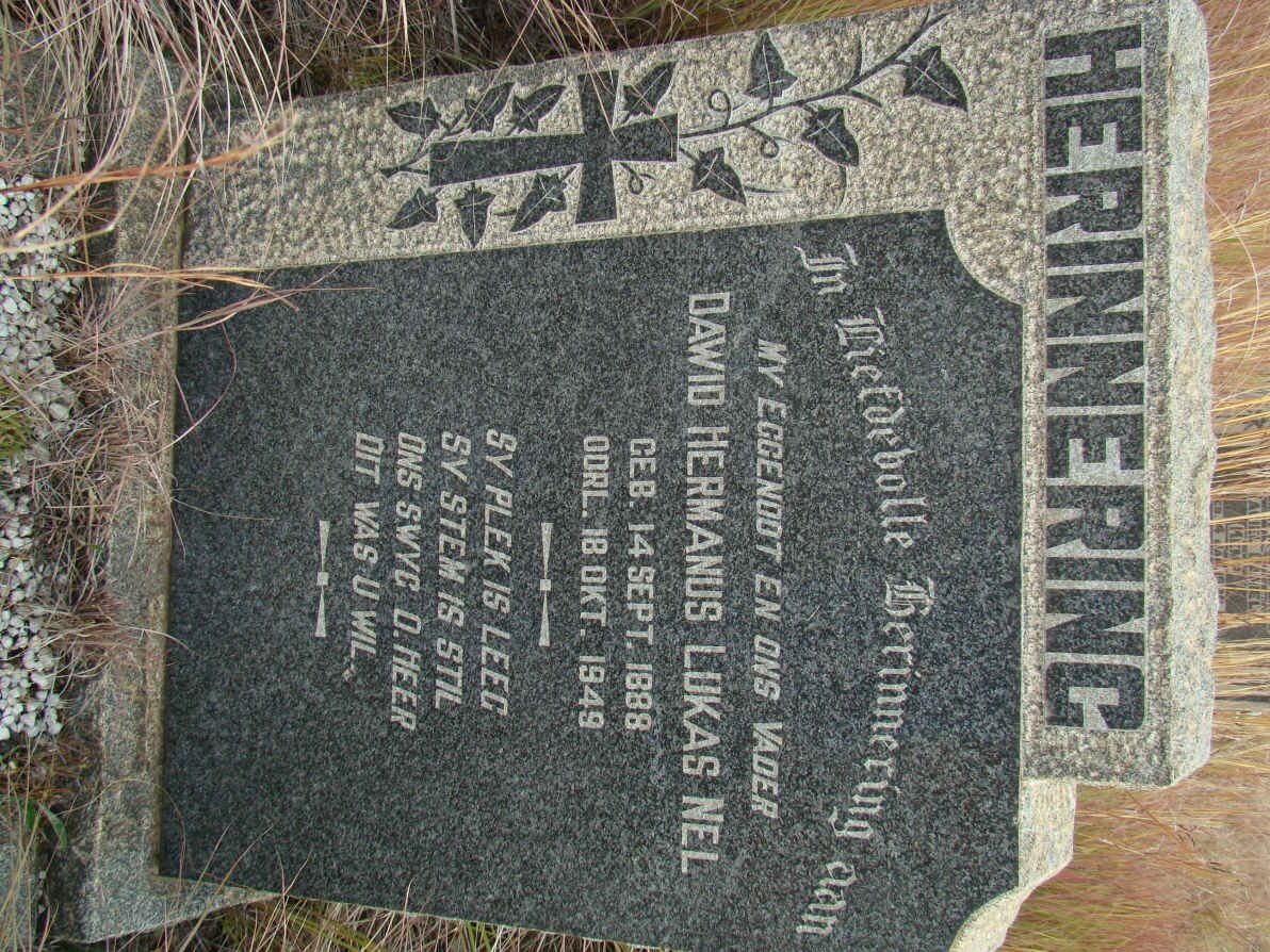 NEL Dawid Hermanus Lukas 1888-1949