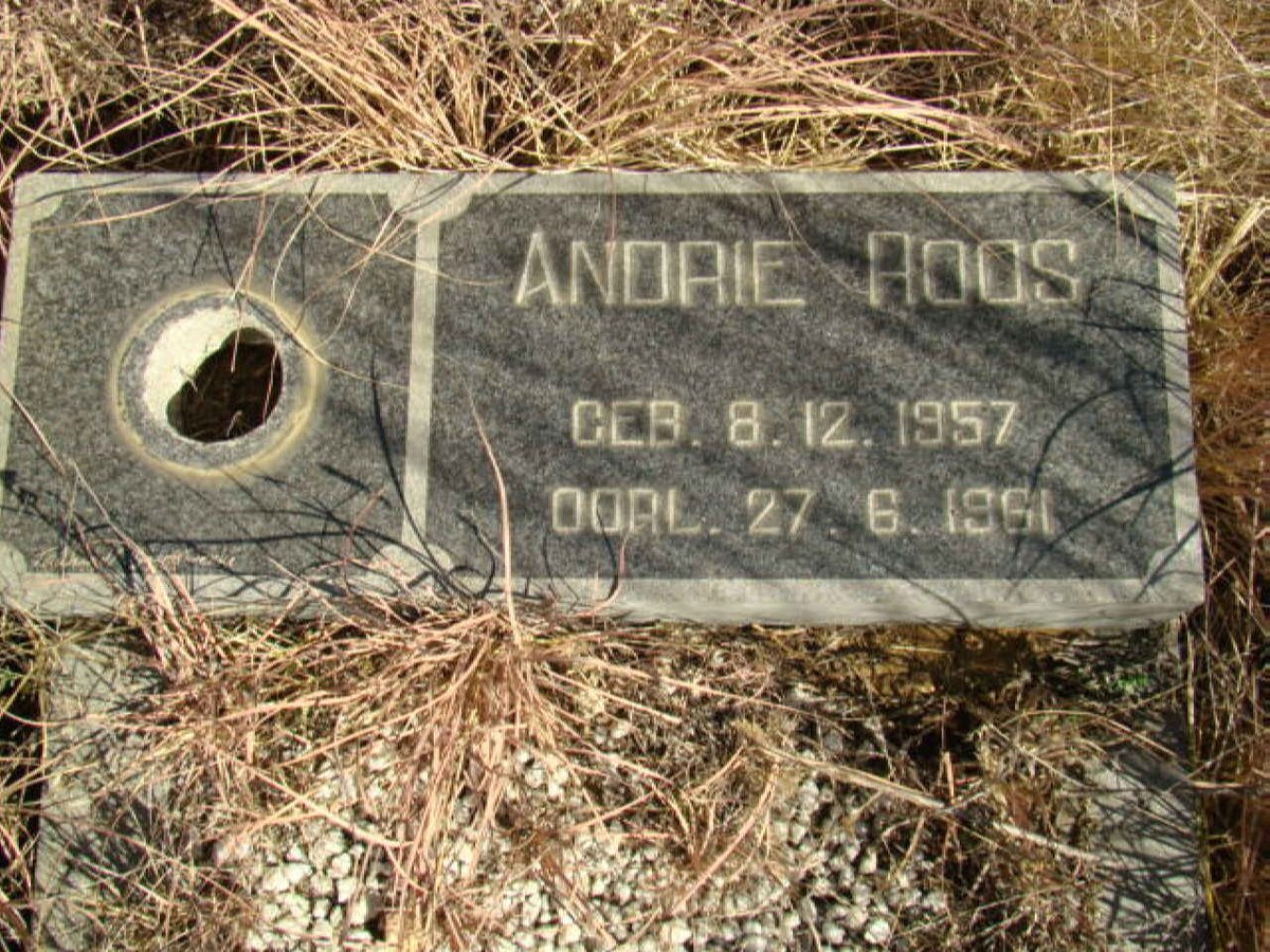 ROOS Andrie 1957-1961