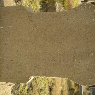 SEYMOUR Johannes J.H. 1872-1932