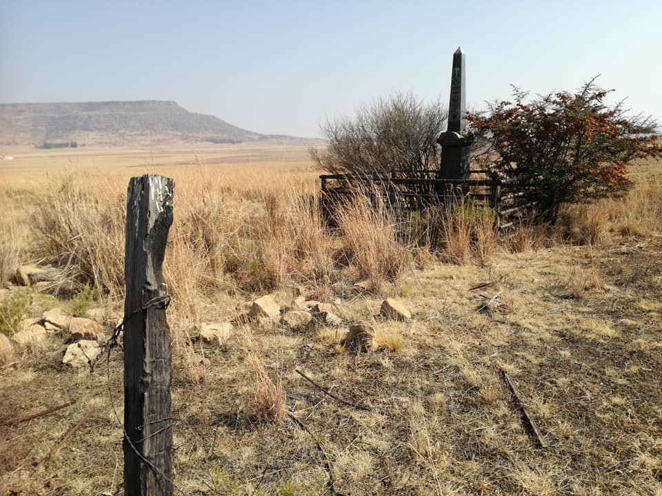 2. Overview / Oorsig