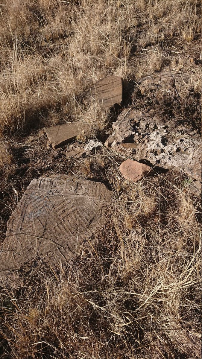 6. Oorsig / Overview