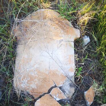 STIGLINGH Jacobus Hendrikus 1928-1928