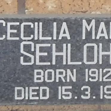 S - Surnames :: Vanne - S