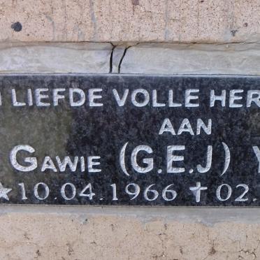 Y - Surnames :: Vanne - Y