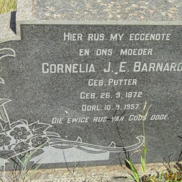 BARNARD Jacobus M.C. 1872 - &amp; Cornelia J.E. PUTTER 1872-1957