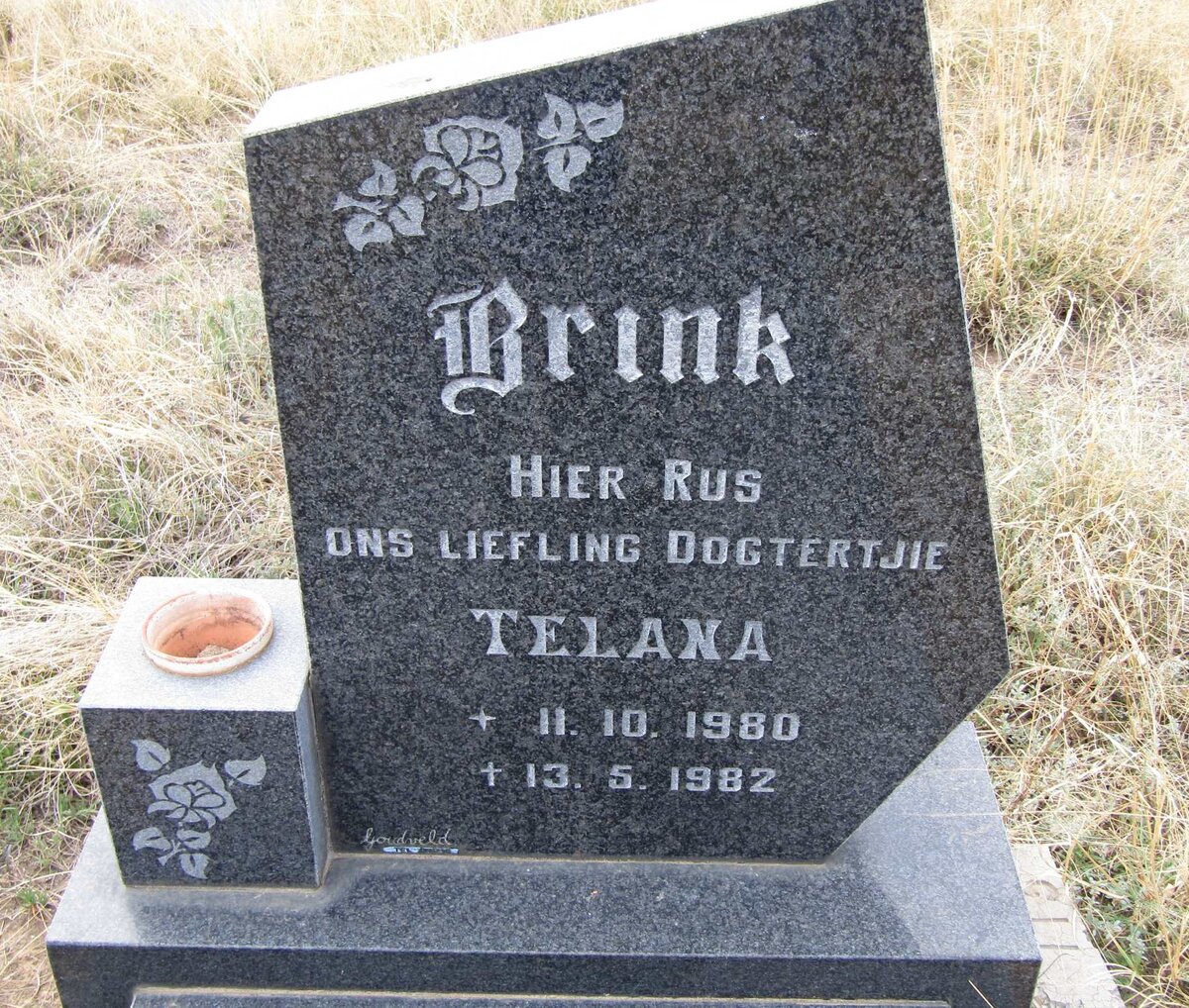 BRINK Telana 1980-1982