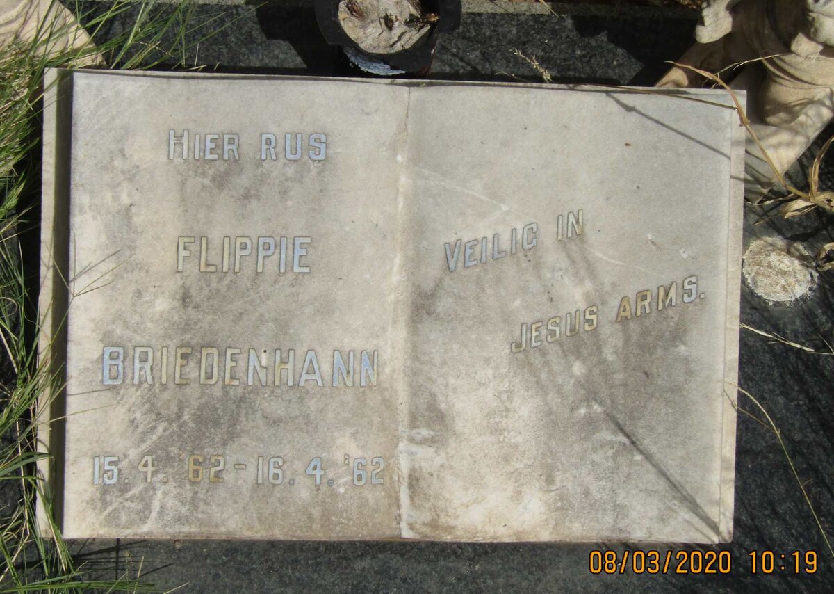 BRIEDENHANN Flippie 1962-1962