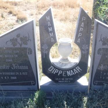 DIPPENAAR Johan Albertus 1919-1986 &amp; Hester Johanna FERREIRA 1922-2000