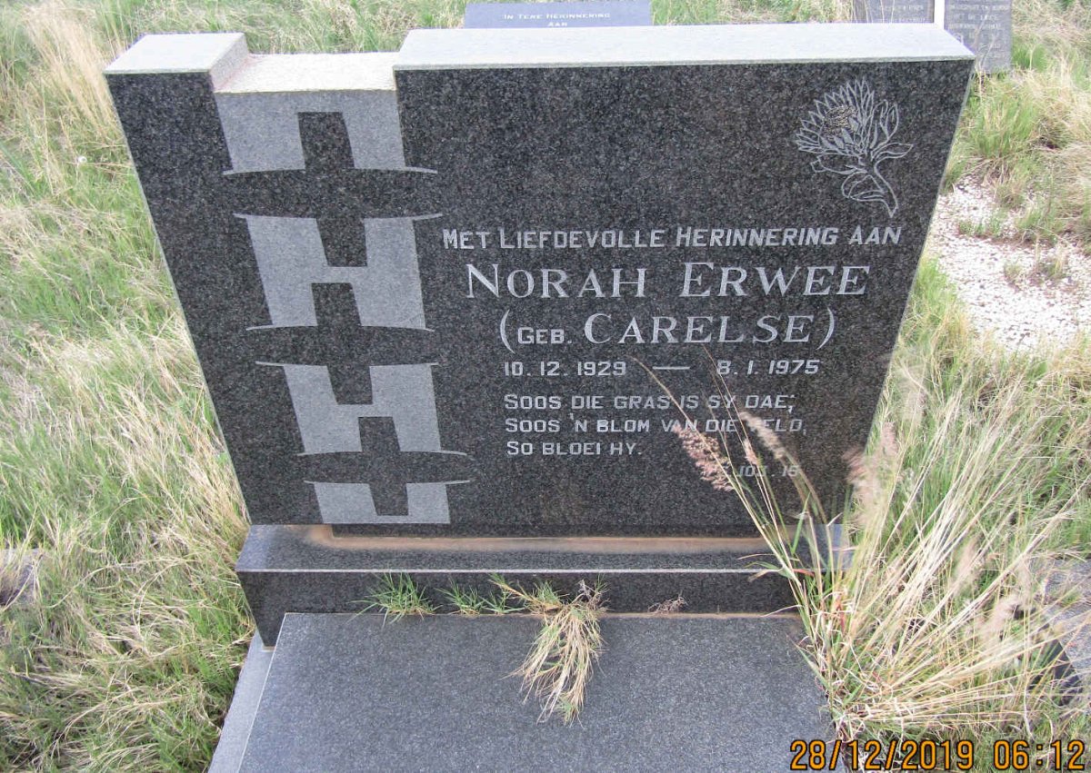 ERWEE Norah nee CARELSE 1929-1975