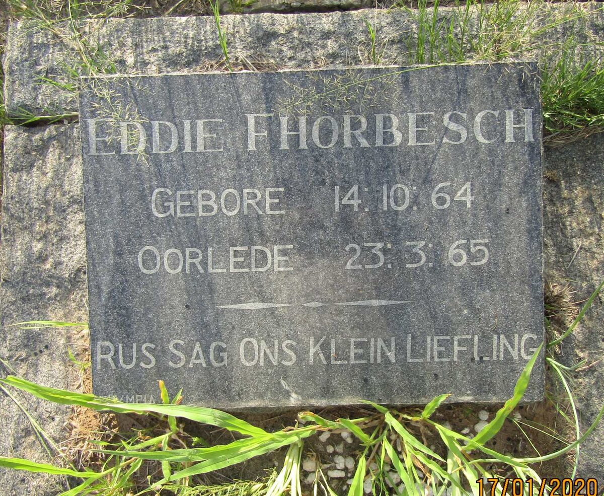 FHORBESCH Eddie 1964-1965