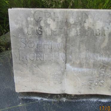 GREYLING Sophia Magrieta Sonja 1965-1965