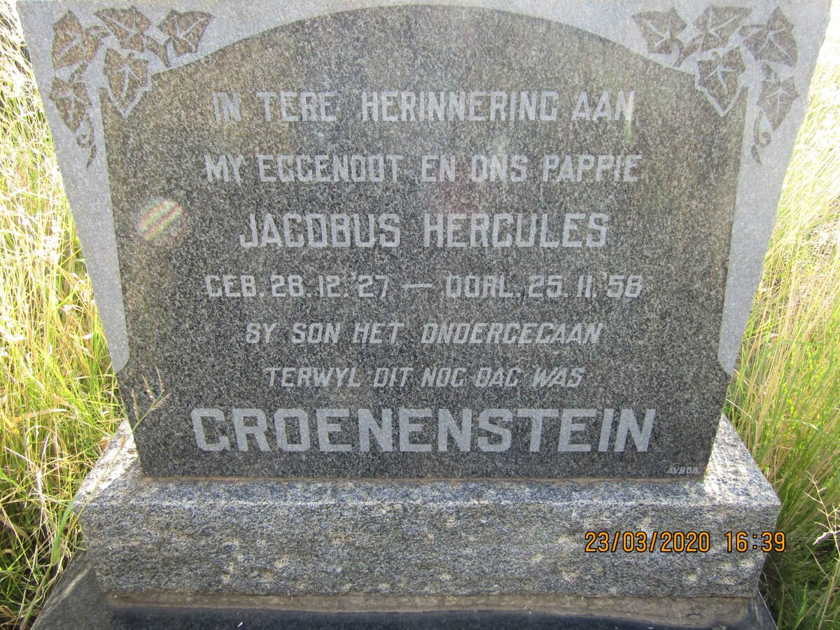 GROENENSTEIN Jacobus Hercules 1927-1958
