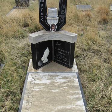 HEEVER Margo, van den 1978-1982