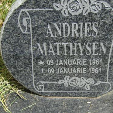 MATTHYSEN Andries 1961-1961
