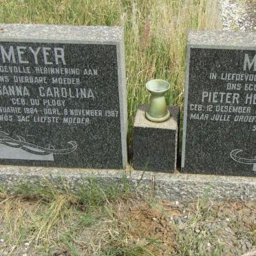 MEYER Pieter Hendrik Barend 1889-1960 &amp; Susanna Carolina du PLOOY 1884-1967