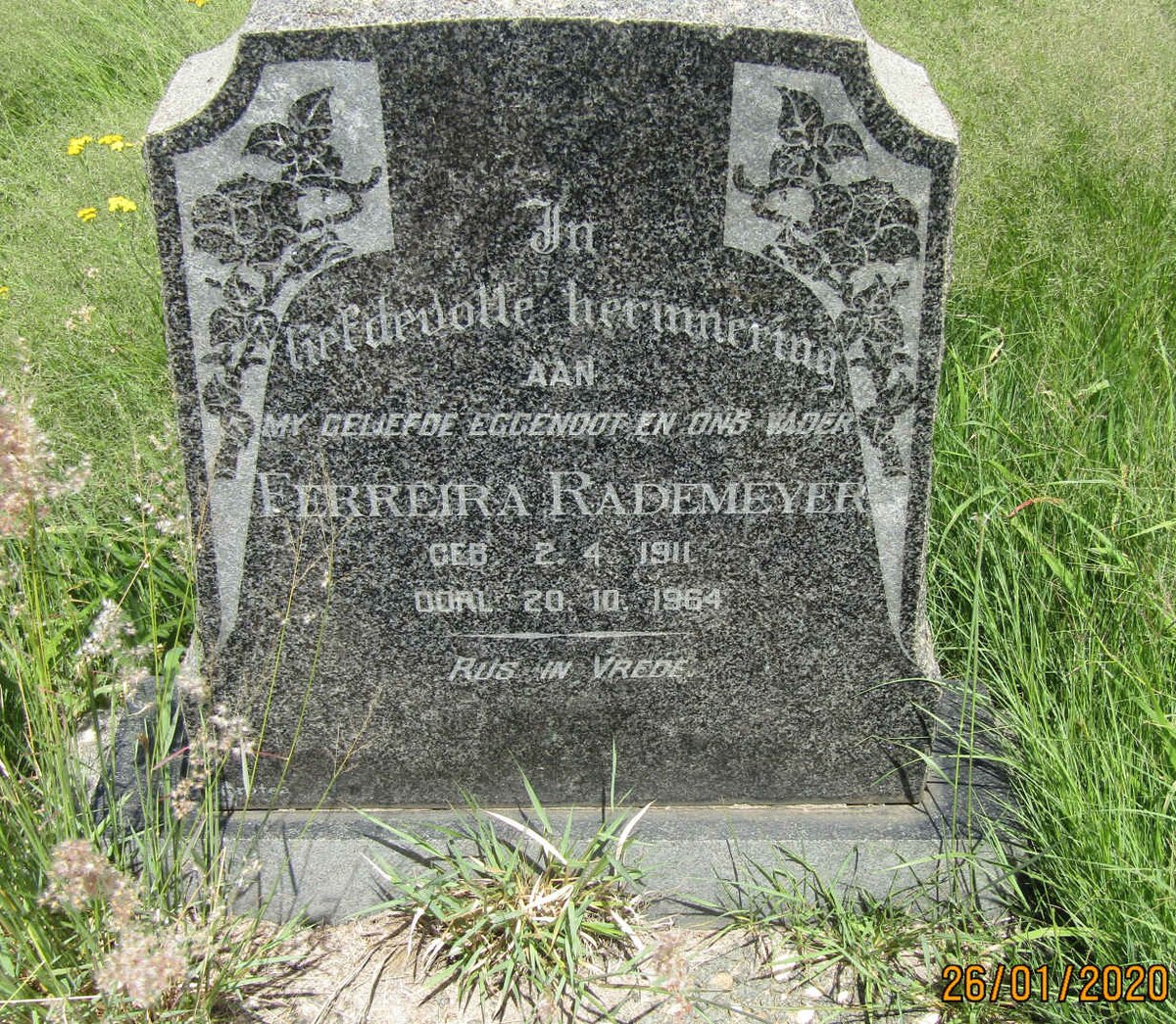 RADEMEYER Ferreira 1911-1964