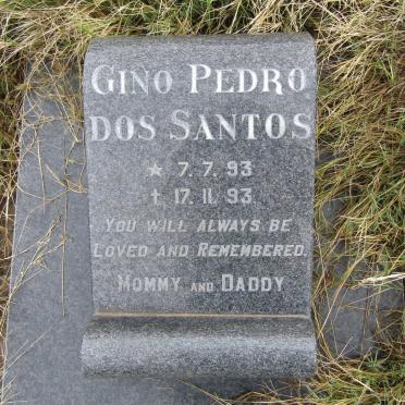 SANTOS Gino Pedro, Dos 1993-1993