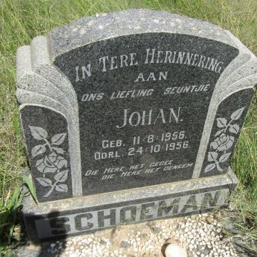 SCHOEMAN Johan 1956-1956