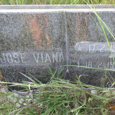 VIANA Jose 1973-1973