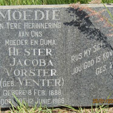 VORSTER Hester Jacobus nee VENTER 1888-1966