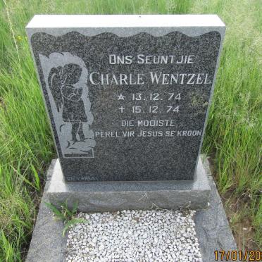 WENTZEL Charle 1974-1974