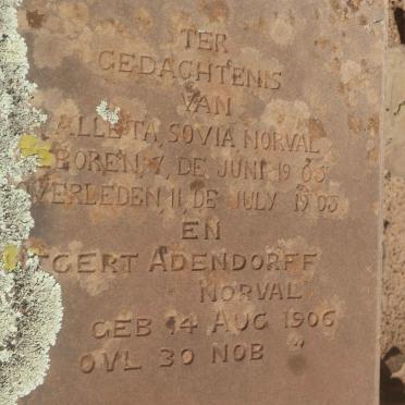 NORVAL Aletta Sovia 1905-1905 :: NORVAL Gert Adendorff 1906-1906