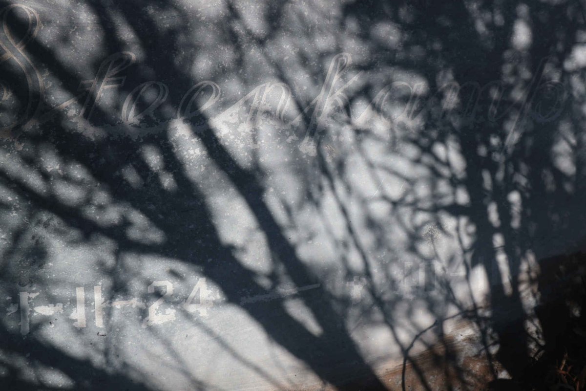 LEHMENSICH Audrey 1956-1959