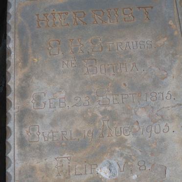 STRAUSS C.H. nee BOTHA 1875-1905