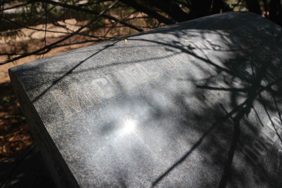 WALT Michiel Jacobus, van der 1894-1976