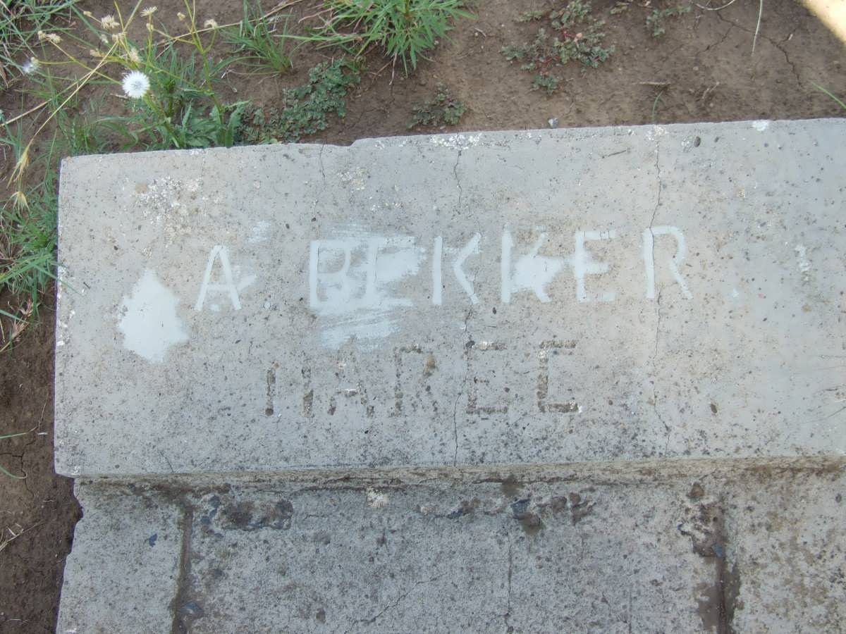 BEKKER A. :: MAREE