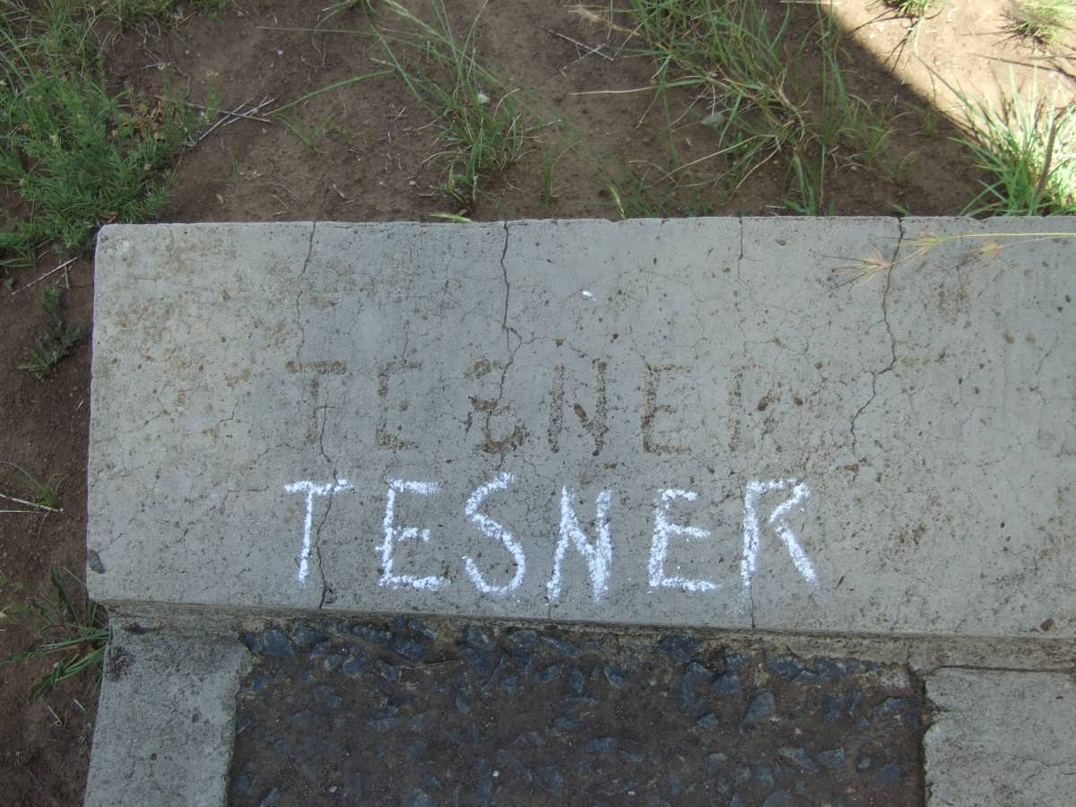 TESNER