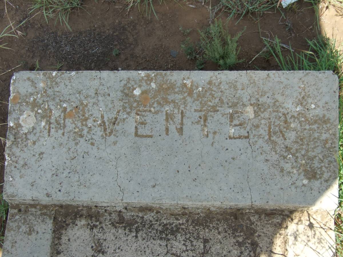 VENTER M.