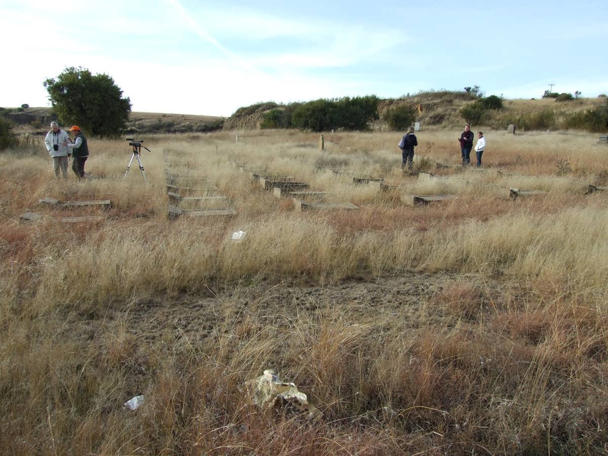 6. Overview of the concentration camp cemetery