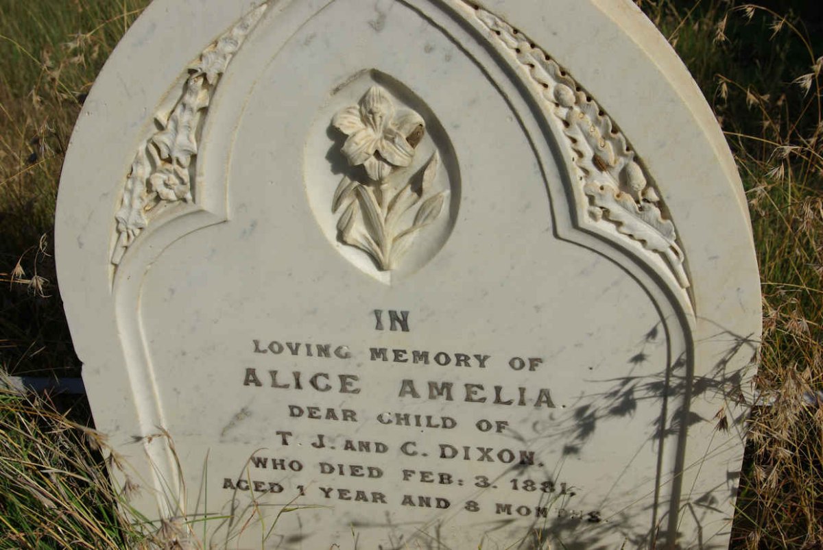DIXON Alice Amelia -1881