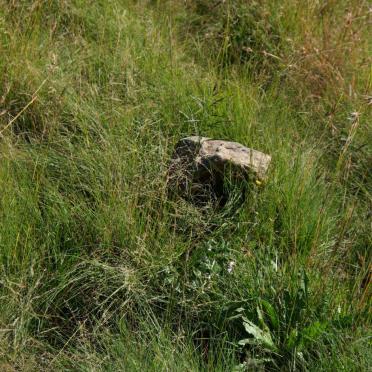 WALT Johannes de Waal, van der 1890-1914