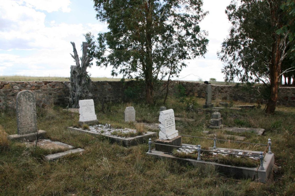 4. Overview / Oorsig